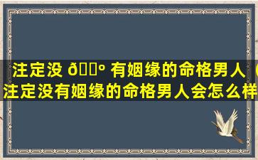 注定没 🌺 有姻缘的命格男人（注定没有姻缘的命格男人会怎么样）